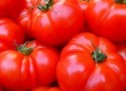 Pomidorų auginimas: praktiniai patarimai
