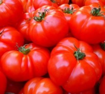 Pomidorų auginimas: praktiniai patarimai